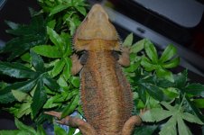 DSC_0364.jpg DSC_0364.jpg