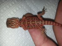 20130614_121602.jpg