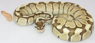 Onatah-052513-2sm.jpg
