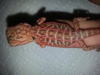 20130614_122809.jpg