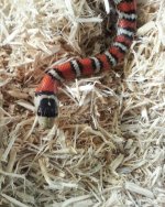 20130529_164427-1.jpg