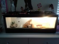 20130609_132545.jpg