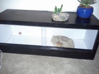 20130612_222804.jpg