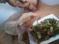 2013-04-29 14.28.15.jpg