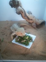 2013-04-29 14.26.58.jpg
