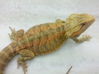 20130429_000719.jpg