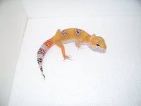 pics 022.jpg