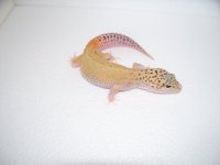 pics 012.jpg