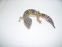 pics 024.jpg