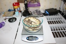 lesser weight.jpg