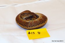 Pinstripe Female 13.JPG