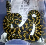 20130731_214510.jpg