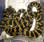 20130731_214526.jpg
