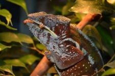DSC_1893.jpg