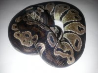 20130604_204732.jpg