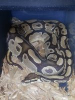 20130605_153040.jpg