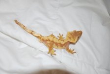 DSC_0283.jpg