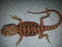 20130720_121908.jpg