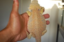 DSC_9257.jpg