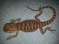 20130720_121825.jpg