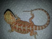 20130720_125233.jpg