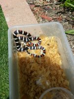 20130623_114749.jpg