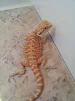 2013-05-31_23.51.20.jpg