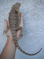 DSCF8858.jpg