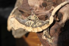 IMG_5758.jpg