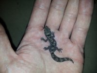20130129_164124.jpg