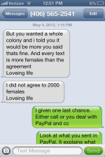 pic 4.png