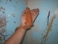 IMG_2110.jpg