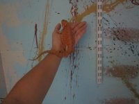IMG_2112.jpg