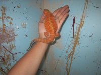 IMG_2113.jpg