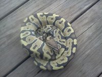 IMG_20130429_112342.jpg