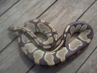 IMG_20130429_112223.jpg