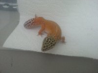 20130615_120629.jpg