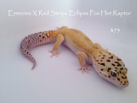 ERSE#540.jpg
