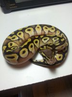IMG_2013072824378.jpg