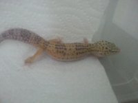 20130615_120530.jpg