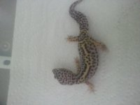 20130615_120340.jpg