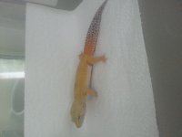 20130615_120240.jpg