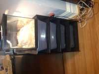 snake rack.jpg