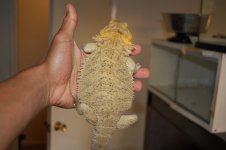 2013-04-09_07.27.26[1].jpg