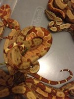 2013-06-07 18.50.24.jpg