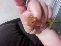 IMG_20130420_183050.jpg