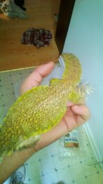 WP_20130430_005.jpg