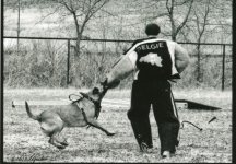 img149.jpg