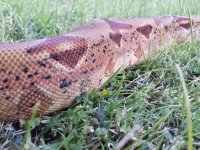 20130708_191454.jpg