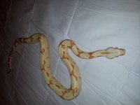 20130429_213148.jpg